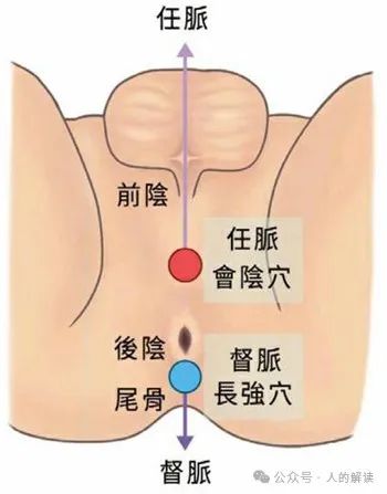 冲脉的奥秘，关乎你的第二性征