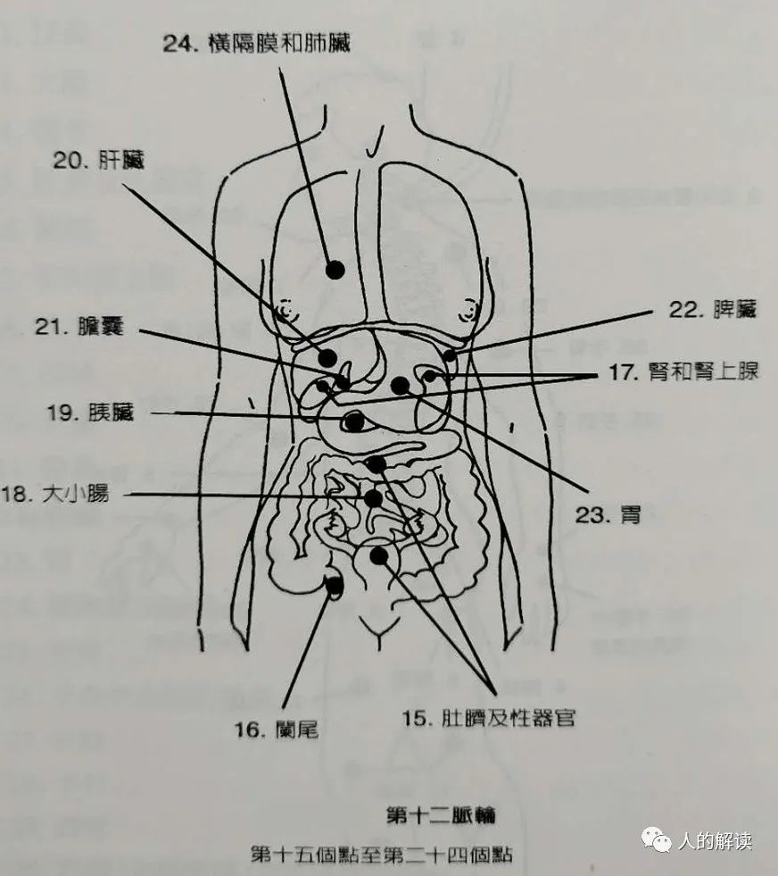 第十二脉轮：次要脉轮，传导灵光场之外的灵性能量