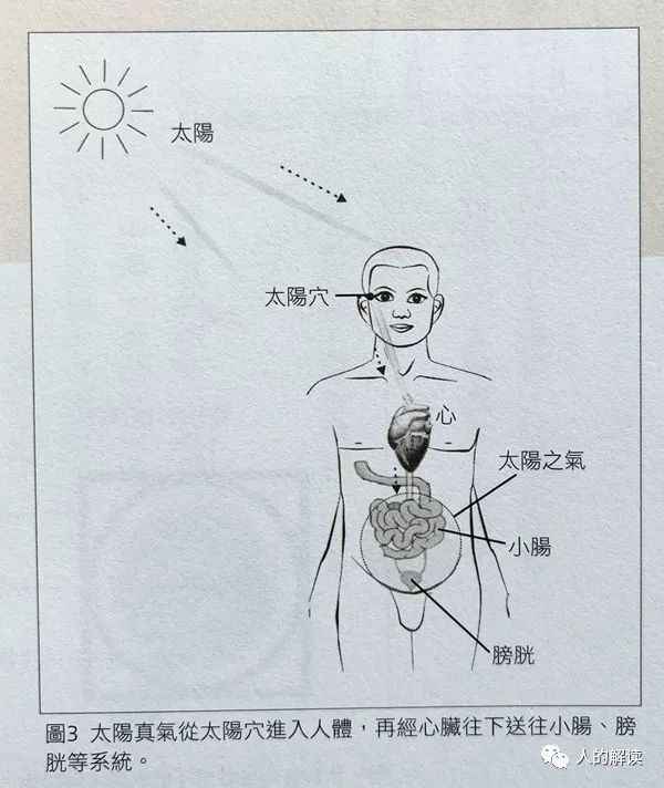 经络运行的三大周期规律，真的是天人合一