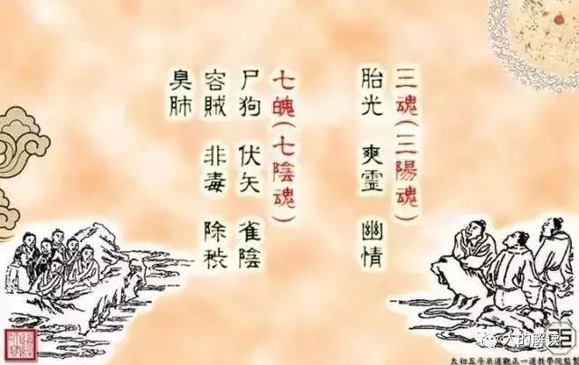 六腑之外的奥秘:奇恒之腑和三魂七魄 六腑之外的奥秘:奇恒之腑和三魂七魄-人的解读