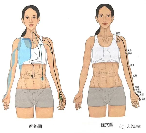 第一条经络：肺经，你的能量通路起点必须畅通