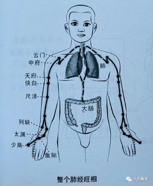 第一条经络：肺经，你的能量通路起点必须畅通