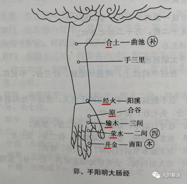 第二条经络：大肠经，被星宿眷顾的能量通路