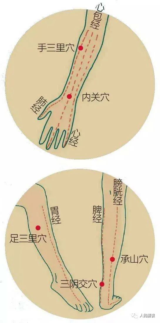 大肠经的保健与你的难言之隐