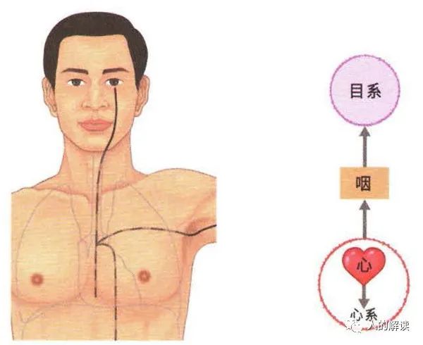 第五条经络：心经，线路最短却最神奇