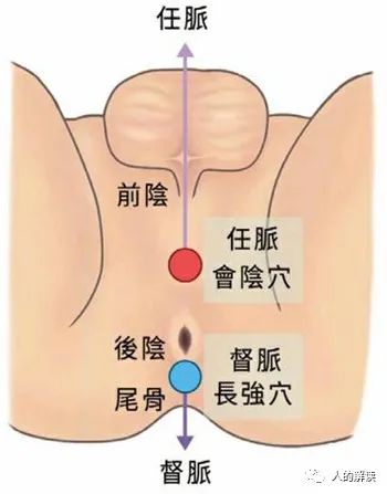 肾经的神奇，你的性福从这里开始