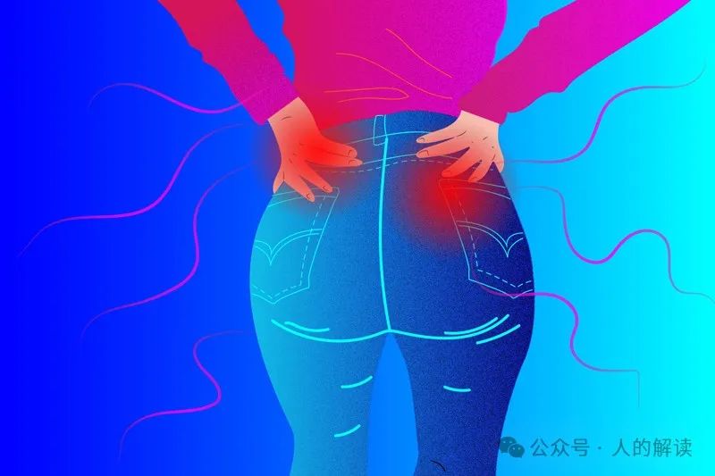 臀部的奥秘,爱存储在这里 臀部的奥秘,爱存储在这里-人的解读
