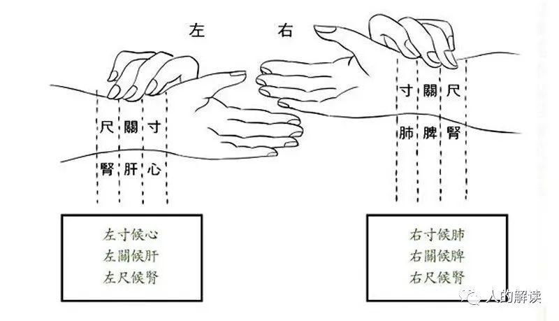 神秘的脉诊，究竟是什么原理？