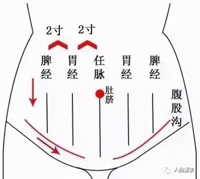 胃经保健的几种方式，你的后天之本要养护好