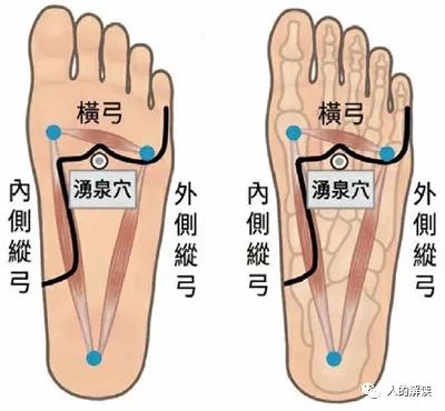 神奇的肾经，连通任督二脉