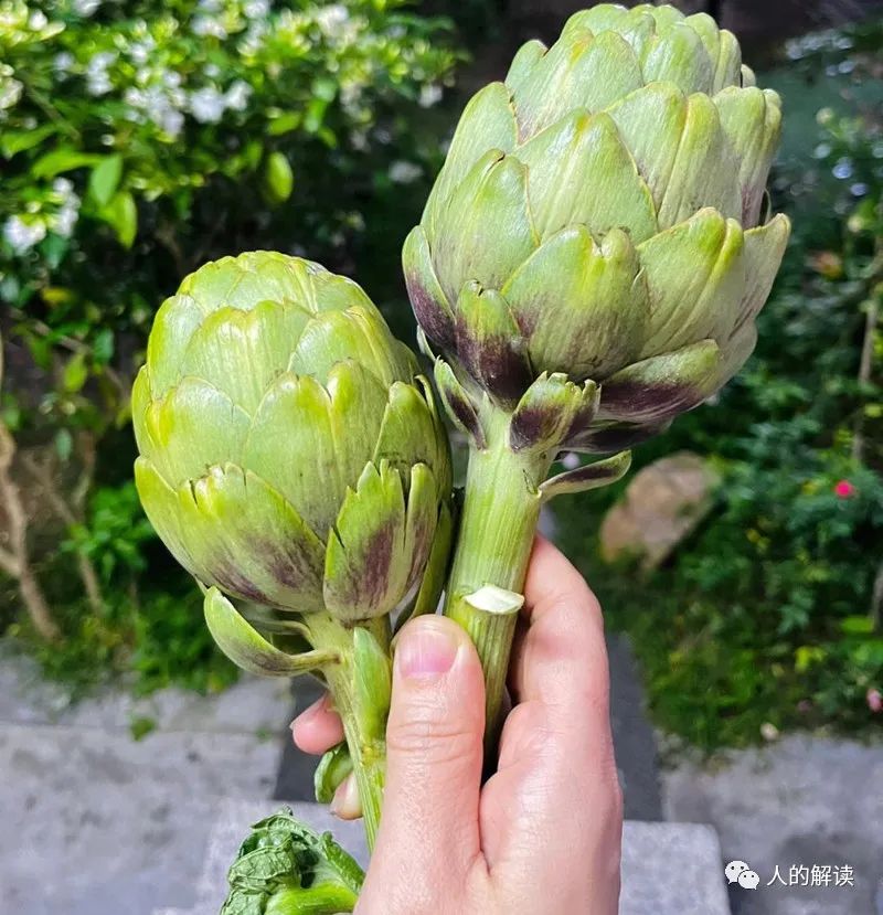 神奇的食物，甲状腺疗愈