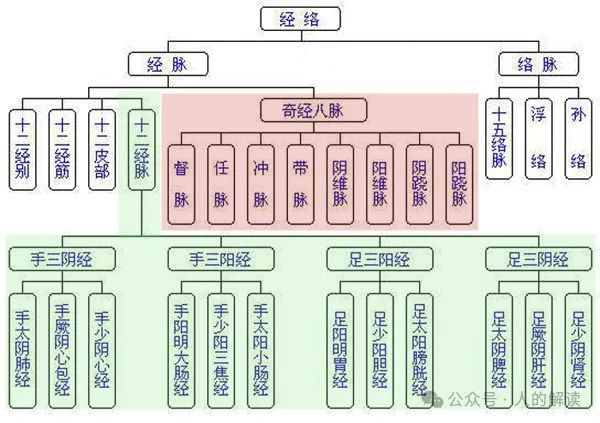 任督二脉的奥秘