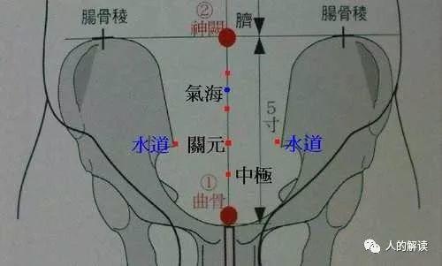 第二脉轮：生殖轮，性能量的转换你必须要学会