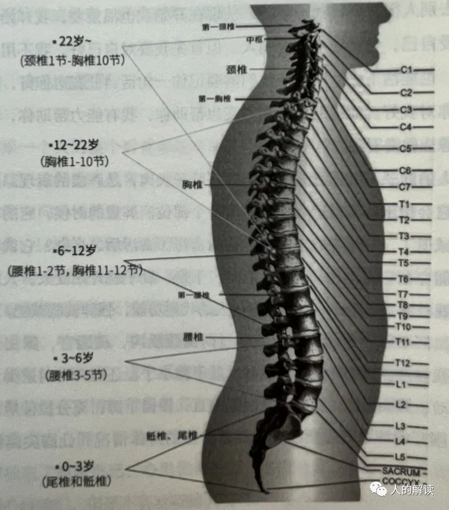 你的所有情绪，在身体上都有记忆