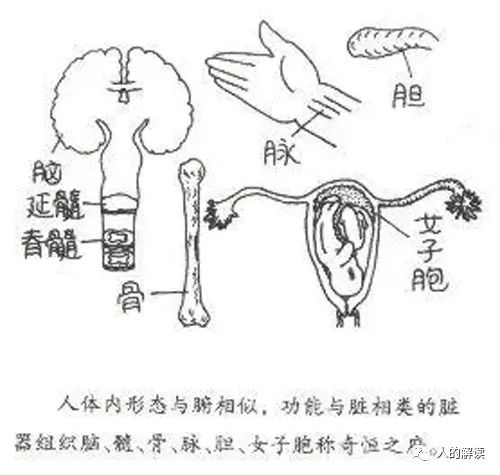 六腑之外的奥秘:奇恒之腑和三魂七魄 六腑之外的奥秘:奇恒之腑和三魂七魄-人的解读