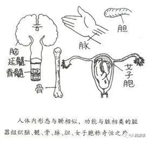 六腑之外的奥秘：奇恒之腑和三魂七魄