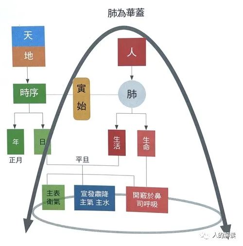 第一条经络：肺经，你的能量通路起点必须畅通