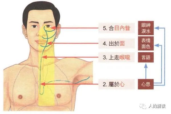 神奇的心经，相由心生的奥秘