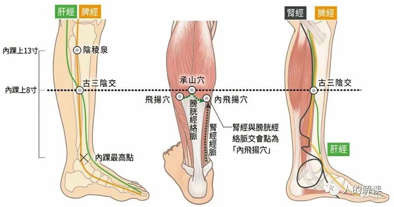 神奇的肾经，连通任督二脉