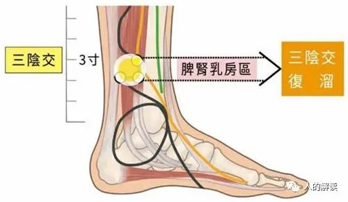 神奇的肾经，连通任督二脉