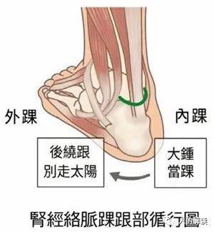 肾经的神奇，你的性福从这里开始