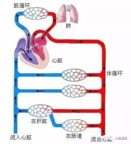 高血压的真相，其实是这样的