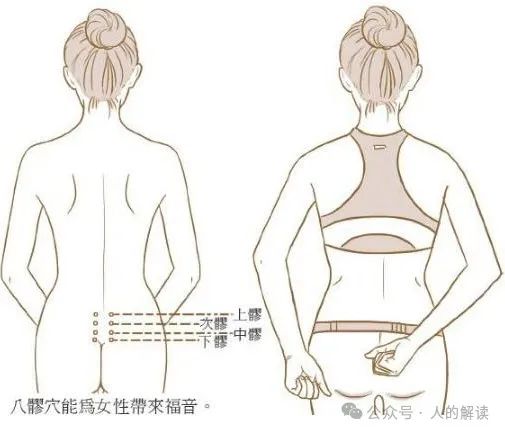 臀部的奥秘,爱存储在这里 臀部的奥秘,爱存储在这里-人的解读