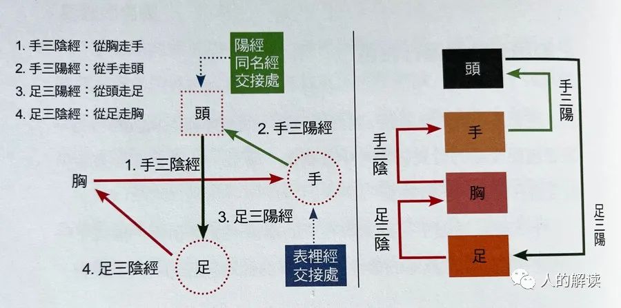 经络运行的三大周期规律，真的是天人合一