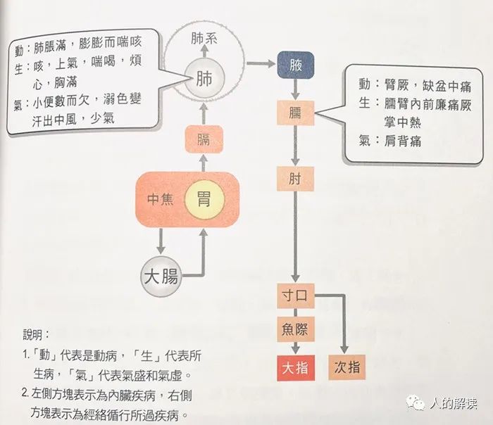 你的这些问题，都能通过肺经来调治