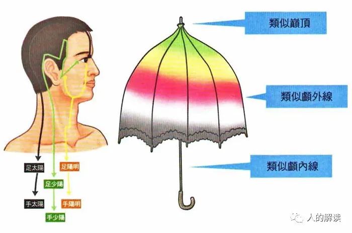 顶天立地的膀胱经，最强壮的保护盾