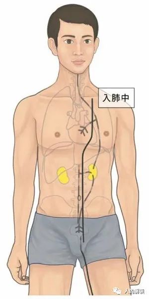 神奇的肾经，连通任督二脉