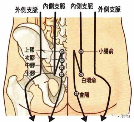 臀部的奥秘,爱存储在这里 臀部的奥秘,爱存储在这里-人的解读