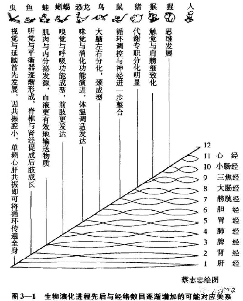 神秘的脉诊，究竟是什么原理？