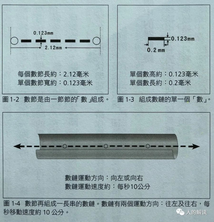 超视觉下的经络，结构竟然如此奇妙