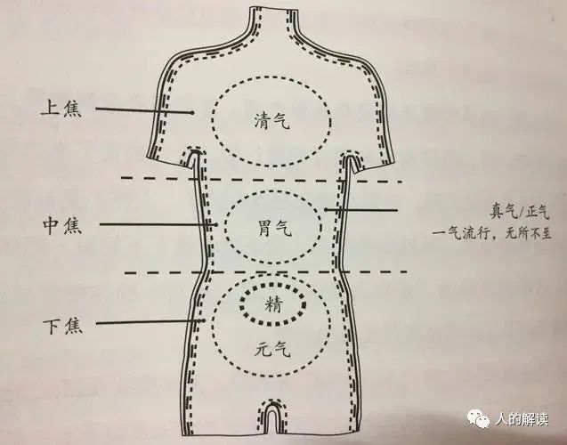 六腑之外的奥秘:奇恒之腑和三魂七魄 六腑之外的奥秘:奇恒之腑和三魂七魄-人的解读