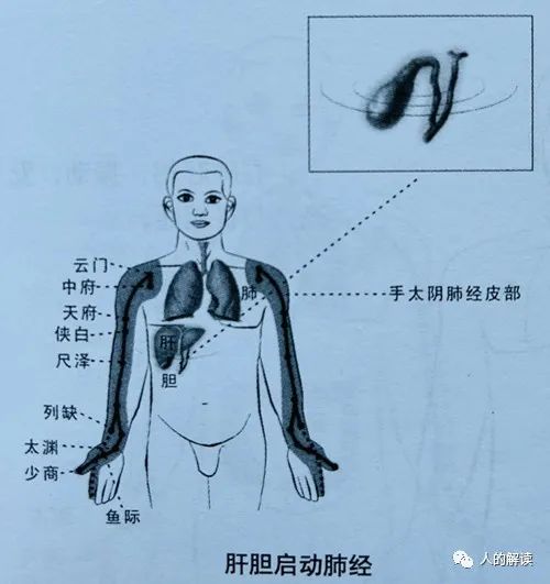 第一条经络：肺经，你的能量通路起点必须畅通