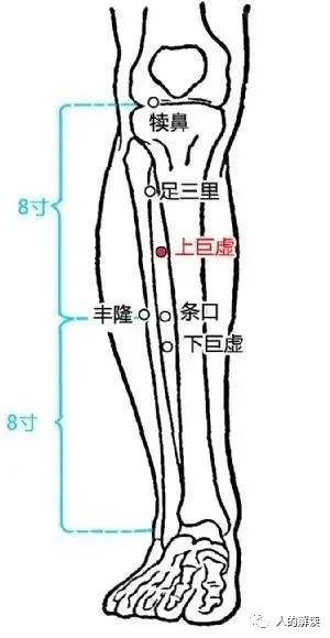 胃经保健的几种方式，你的后天之本要养护好