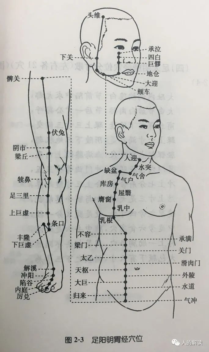 胃经保健的几种方式，你的后天之本要养护好