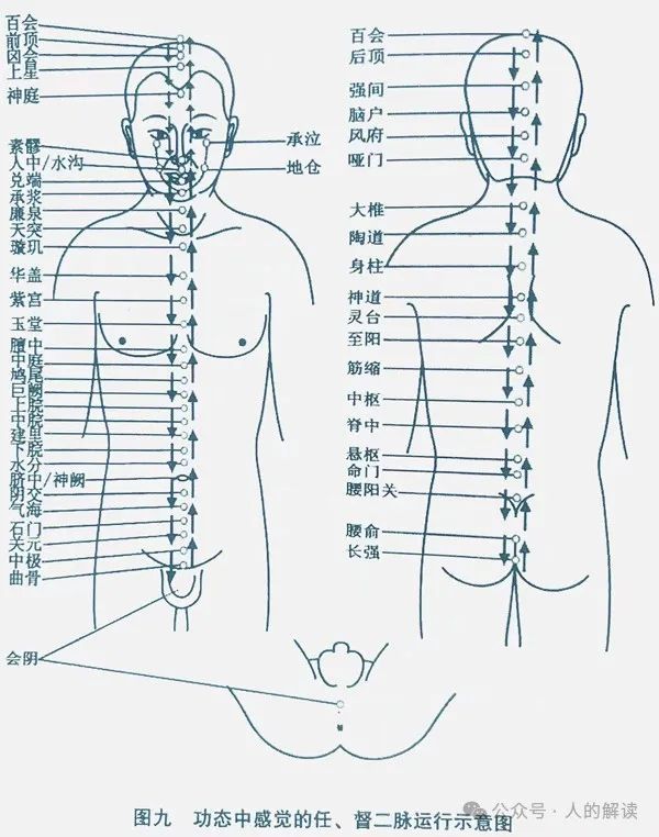 打通任督二脉，小周天的奥秘